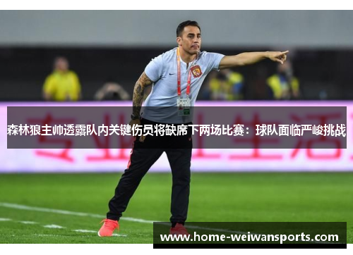 森林狼主帅透露队内关键伤员将缺席下两场比赛：球队面临严峻挑战